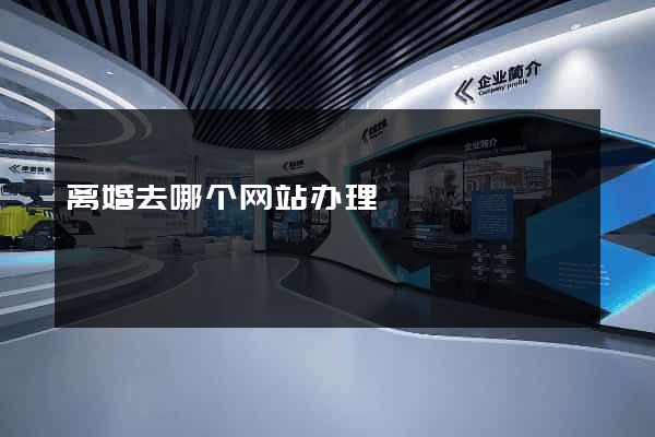 离婚去哪个网站办理