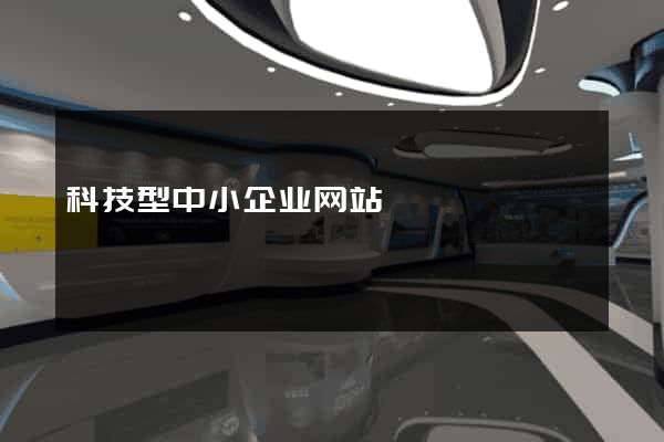 科技型中小企业网站