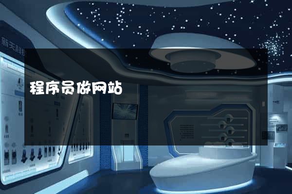 程序员做网站