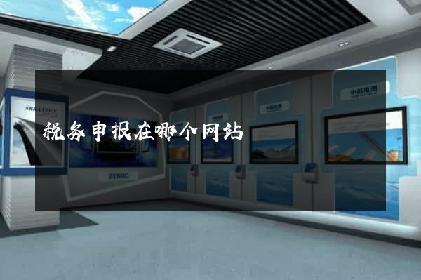 税务申报在哪个网站
