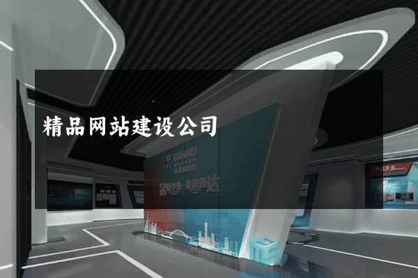 精品网站建设公司