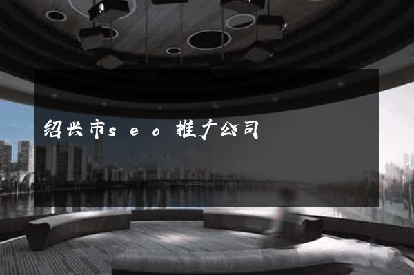 绍兴市seo推广公司
