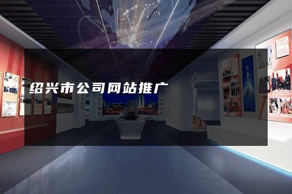 绍兴市公司网站推广
