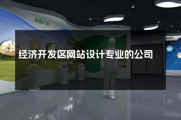 经济开发区网站设计专业的公司