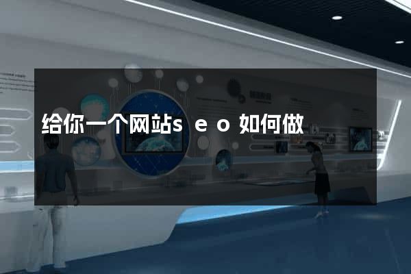 给你一个网站seo如何做