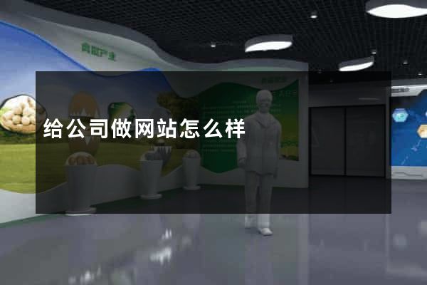 给公司做网站怎么样