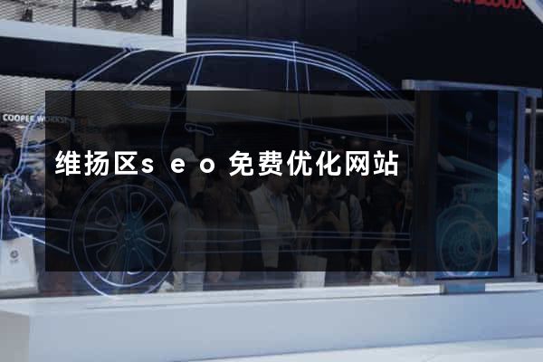 维扬区seo免费优化网站