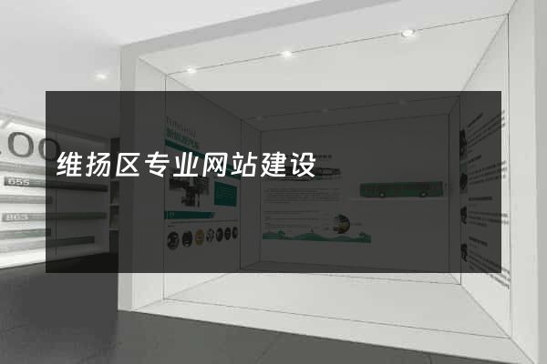 维扬区专业网站建设