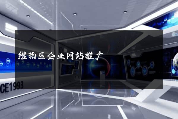 维扬区企业网站推广