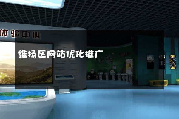 维扬区网站优化推广