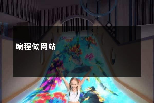 编程做网站