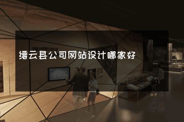 缙云县公司网站设计哪家好