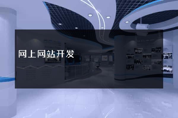 网上网站开发