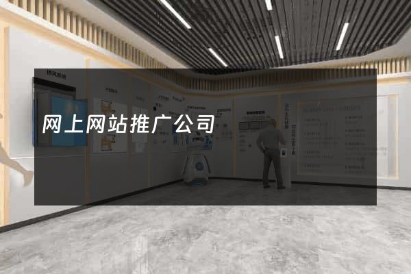 网上网站推广公司