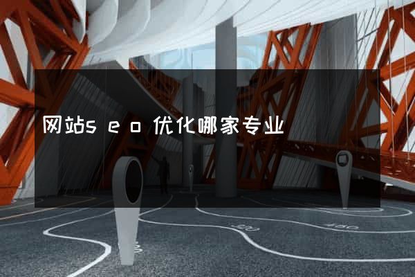 网站seo优化哪家专业
