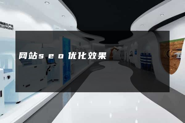 网站seo优化效果