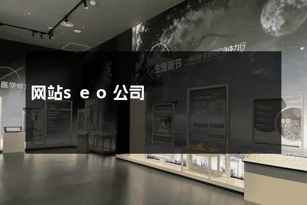 网站seo公司