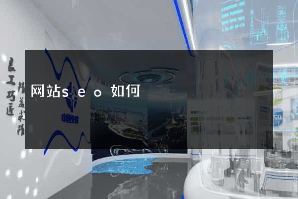 网站seo如何