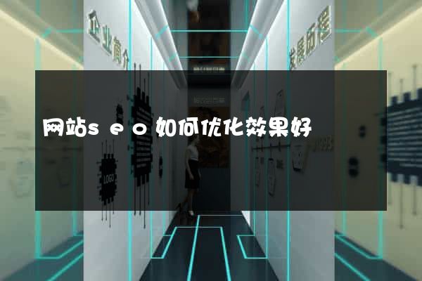 网站seo如何优化效果好