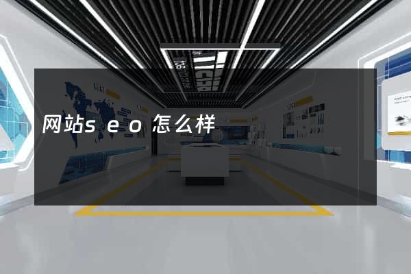 网站seo怎么样