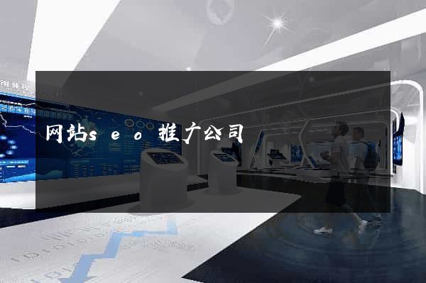 网站seo推广公司