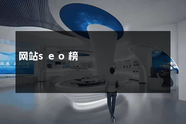 网站seo榜