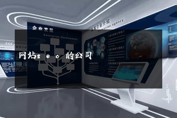 网站seo的公司