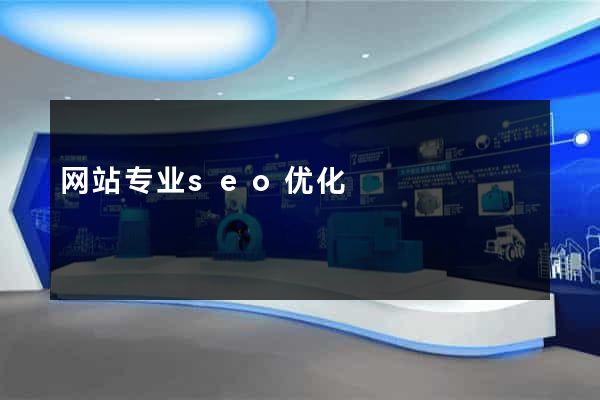 网站专业seo优化