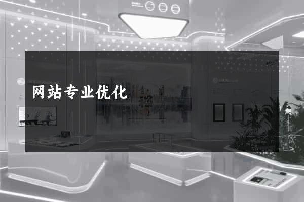 网站专业优化