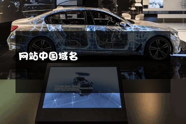 网站中国域名