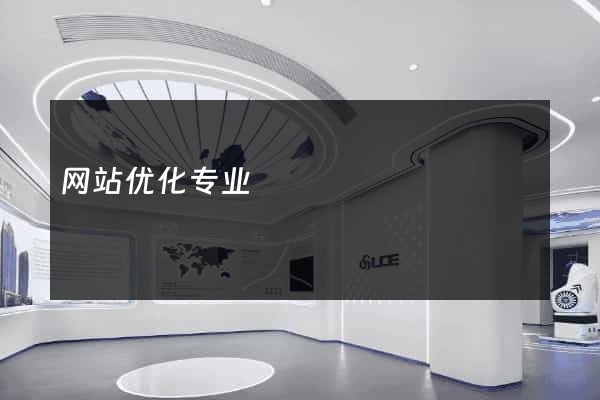 网站优化专业