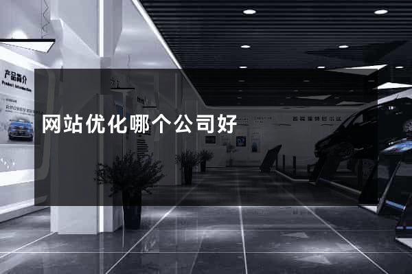 网站优化哪个公司好