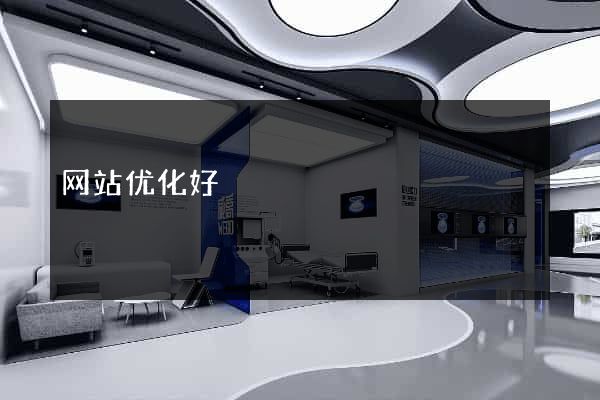 网站优化好