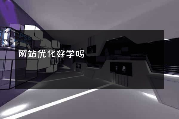网站优化好学吗