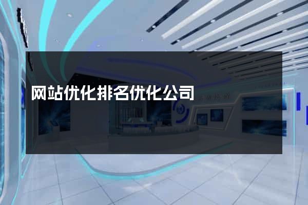网站优化排名优化公司