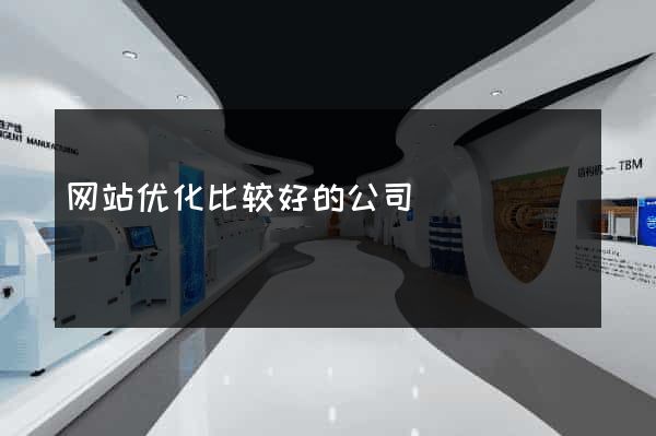 网站优化比较好的公司