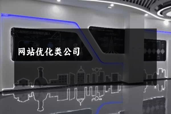 网站优化类公司
