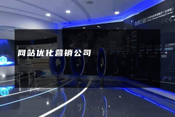 网站优化营销公司