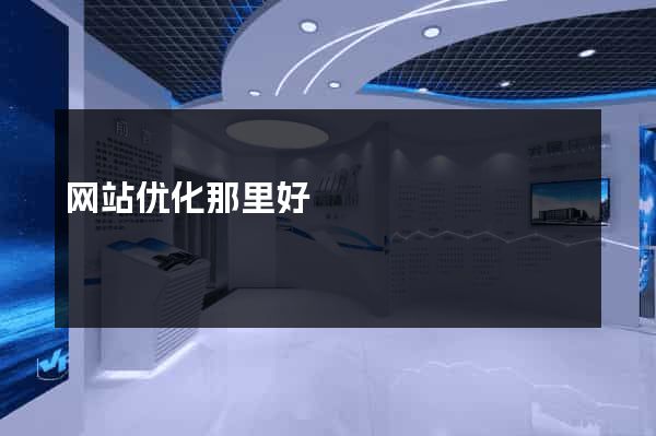 网站优化那里好