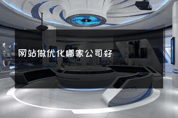 网站做优化哪家公司好