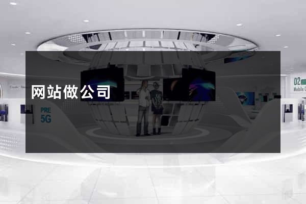 网站做公司