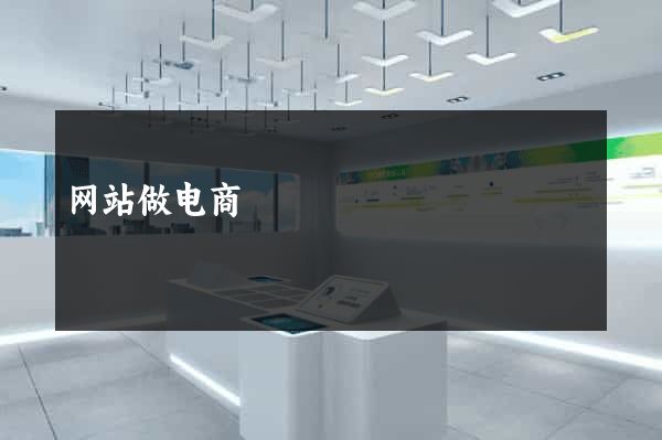 网站做电商