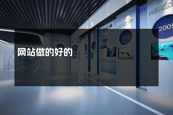 网站做的好的