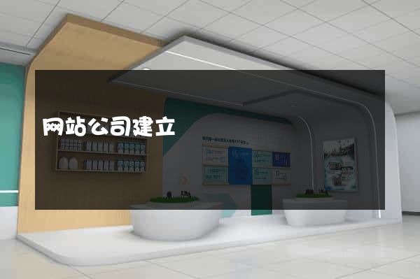 网站公司建立