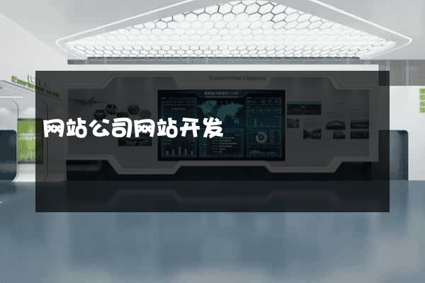 网站公司网站开发