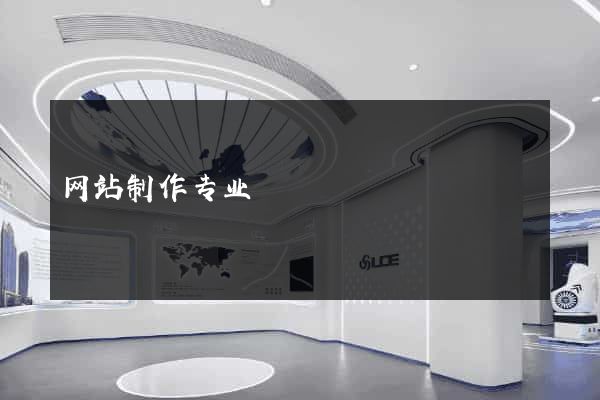 网站制作专业