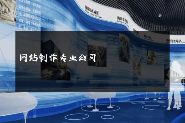 网站制作专业公司