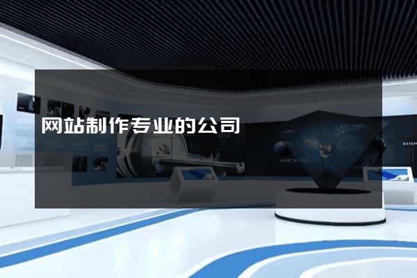 网站制作专业的公司