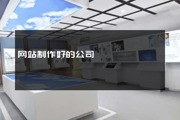 网站制作好的公司