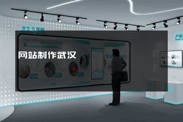 网站制作武汉